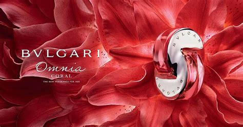 bvlgari omnia review.